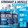 Vita Guard 5000mg Creatine Monohydrate Gummies Formula for Men and Women Ultimate Muscle Builder, Energy Booster & Pre-Workout Supplement (2 Pack) view 2