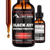 Lost Empire Herbs Polyrhachis Black Ant Extract Spagyric Tincture (1 fl oz) Energy | Strength | Performance | Pre-Workout view 1