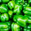 Unpretentious Diced Bell Pepper, 12 oz, Sweet & Mild Flavor, Versatile Ingredient, Soups & Sauces view 4