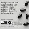 Sports Research Ashwagandha Softgels with Coconut MCT Oil - Natural Adaptogen Made with Shoden Ashwa for Relaxation, Calm & Sleep Support - Gluten Free & Vegan Friendly - 60 Count view 4