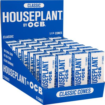 Houseplant by OCB Classic Cone 1 1/4 6 PK