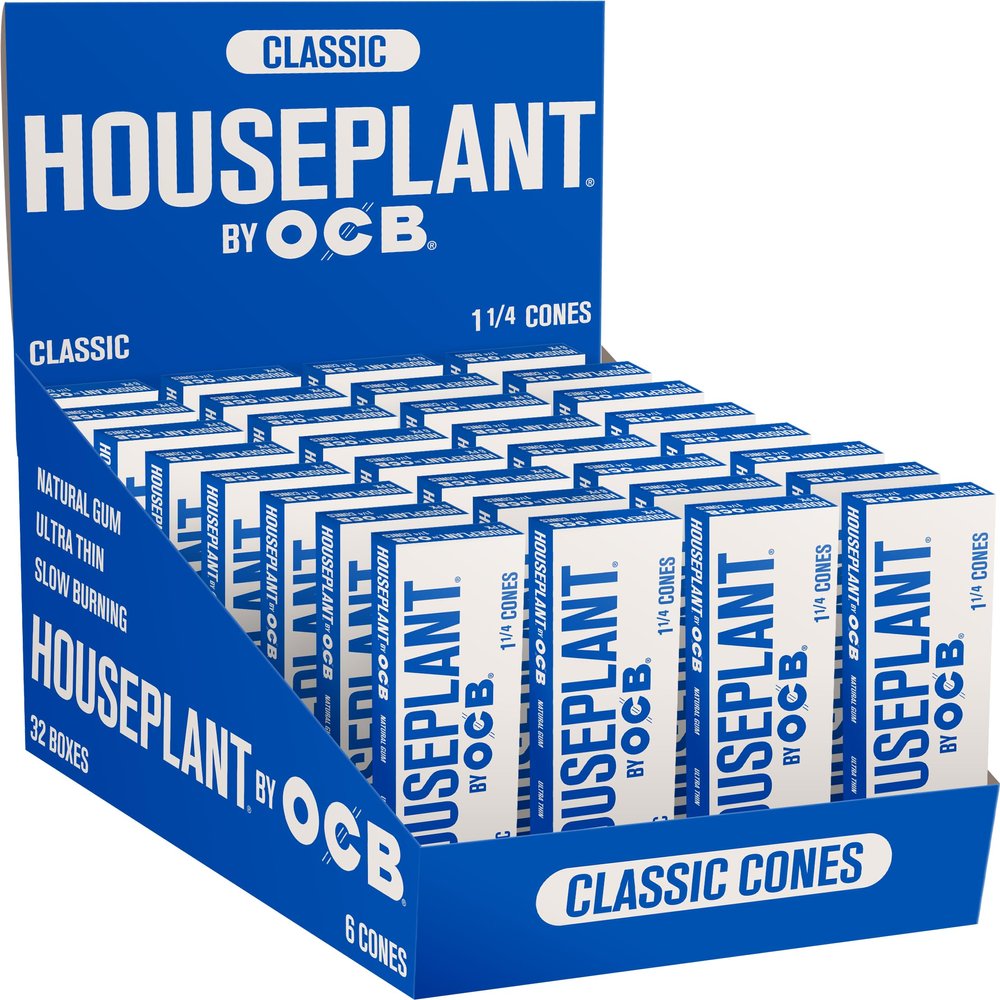 Houseplant by OCB Classic Cone 1 1/4 6 PK