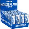 Houseplant by OCB Classic Cone 1 1/4 6 PK view 1