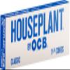 Houseplant by OCB Classic Cone 1 1/4 6 PK view 2