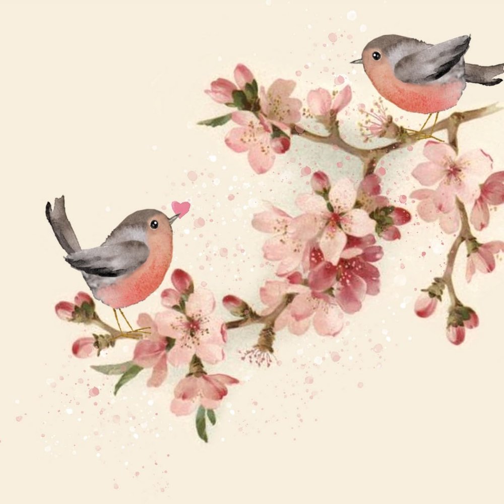 20 Napkins Spring Small Birds on Cherry Blossoms as Table Decoration Paper Napkins with Motif Also for Decoupage and Decoupage 33 x 33 cm