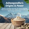 1 Body Ashwagandha Complex Supplement, Focus and Energy Support, 120 Vegan Capsules view 2