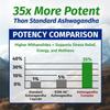 1 Body Ashwagandha Complex Supplement, Focus and Energy Support, 120 Vegan Capsules view 4