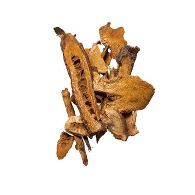 Plum Dragon Hu Zhang - Japanese Knotweed - Polygonum Cuspidatum- 1lb