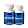 nutradash (2 Pack) Synogut - Synogut Pills for Digestive Support Gut Health (120 Capsules - 2 Month Supply) view 1