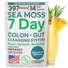 Atlantic Naturals Sea Moss 7-Colon Cleanse Powder | Formulated with Psyllium Husk, Fiber, & Senna Powder | Supports Immune & Gut Health for Women & Men, Pineapple Flavor Drink Mix, 14 oz view 1
