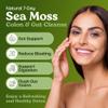 Atlantic Naturals Sea Moss 7-Colon Cleanse Powder | Formulated with Psyllium Husk, Fiber, & Senna Powder | Supports Immune & Gut Health for Women & Men, Pineapple Flavor Drink Mix, 14 oz view 2