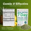 Atlantic Naturals Sea Moss 7-Colon Cleanse Powder | Formulated with Psyllium Husk, Fiber, & Senna Powder | Supports Immune & Gut Health for Women & Men, Pineapple Flavor Drink Mix, 14 oz view 3