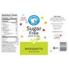 Hypothermias Sugar Free Syrup for Snow Cone, Shaved Ice, Drinks - Pint (16 fl oz) - Made with Organic Monk Fruit and Non-GMO Organic Erythritol - BPA-Free Plastic Bottle (Margarita) view 2
