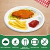 100% Compostable Paper Plates, 500 Pack 10 Inch 3 Compartment Disposable Plates, Eco-Friendly Heavy Duty Biodegradable Plates for Picnics, Dinner, Birthday Party, Camping, BBQ view 2