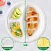 100% Compostable Paper Plates, 500 Pack 10 Inch 3 Compartment Disposable Plates, Eco-Friendly Heavy Duty Biodegradable Plates for Picnics, Dinner, Birthday Party, Camping, BBQ view 3