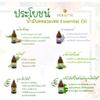 PLEARN 100% Essential Oil, Litsea Cubeba Oil Scent, 30 ml view 3