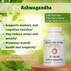 Dr Clark Store Ashwagandha Supplement  650mg, 60 Capsules, Supports Everyday Wellbeing, Energy & Mood Balance view 3