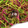FRILLZ Crinkle Cut Paper Shred Filler for Baskets, Gifts, Packing and Protecting your Birthday, Weddings, Anniversary, Valentines Day, and other gifts (2 pound, Spring) view 1