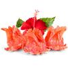 Dried Candied Hibiscus Flowers Edible by Its Delish, 16 OZ Jumbo Container | Sweetened Dried Hibiscus Flower for Tea Cocktail Drinks Garnish Dehydrated Fruit | Edible Roses | Vegan & Kosher view 4