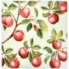 Gift Boutique 100 Apples Cocktail Napkins Disposable Paper Fruit Tree Fall Harvest Apple Leaf Dessert Napkin Autumn Wedding Dinner Party Supplies Decor view 1