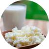 The Spirit Of The Forest: Live Kefir Grains - Fresh, Active Probiotic Starter for DIY Fermentation. Grows Fast! Pajaritos, Bulgaros de Leche, Tibicos. Quick Growth, Pajaritos, Blgaros, Tbicos. view 1