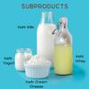 The Spirit Of The Forest: Live Kefir Grains - Fresh, Active Probiotic Starter for DIY Fermentation. Grows Fast! Pajaritos, Bulgaros de Leche, Tibicos. Quick Growth, Pajaritos, Blgaros, Tbicos. view 2