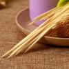 1000 Pack Bamboo Wooden Toothpicks, Natural Tooth Picks for Appetizers, Olive, Barbecue, Fruit, Party Cocktails  Disposable Large Round Teeth Cleaning Toothpicks  Sturdy Safe Double Sided Reusable view 4