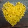 Sanniti Artisanal Gluten Free Mixed Pasta Ammischiata di Gragnano | Imported From Italy, 17.6 oz view 3