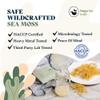 HAPPY FOX Organic Sea Moss Gel Made from Real Seamoss & Alpine Mineral Water. Pure Wildcrafted Sea Moss, Small Batch Made & Approved by Dr Sebi Sea Moss Gel. Shelf Stable, 8 fl oz. view 4