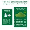 SaltWise Salicornia Green Salt  50% Less Sodium, Plant-Based Salt Substitute, 100% Dehydrated Salicornia, Natural Umami, No additives (7.05 oz / 200g) view 4