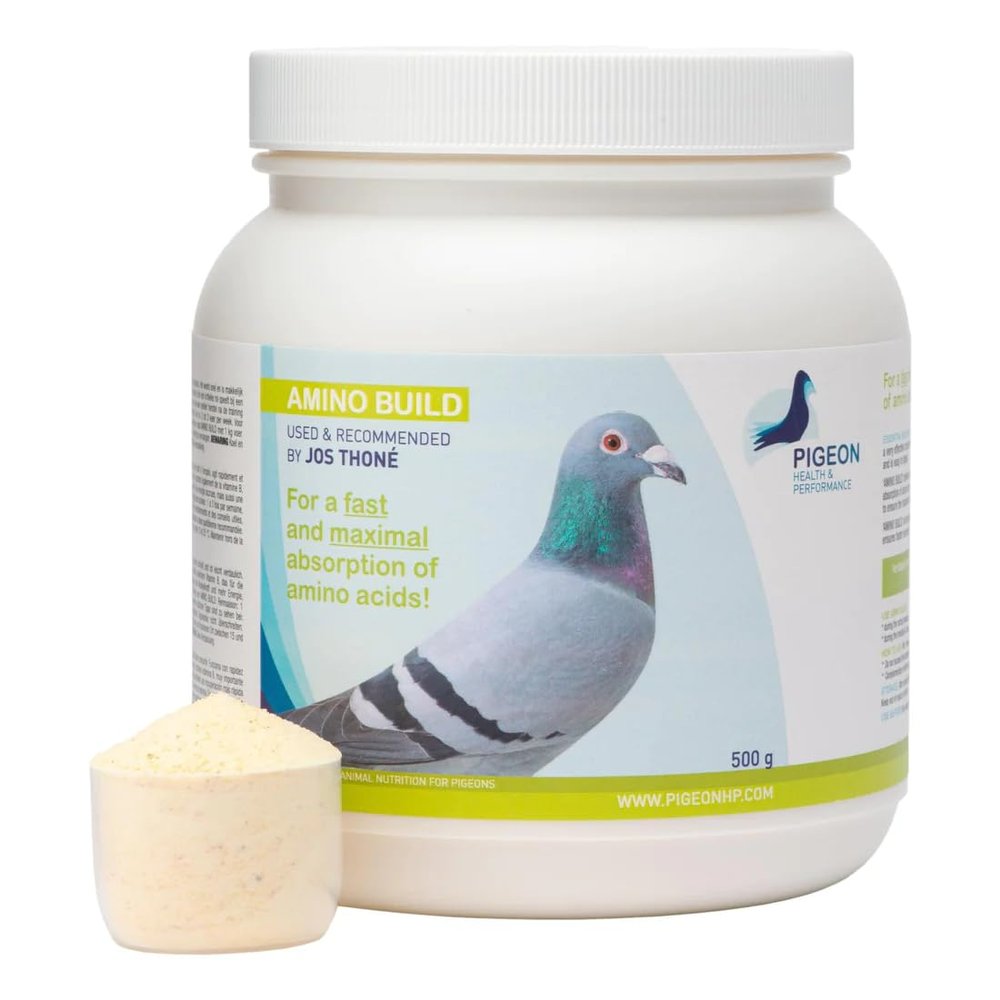 Generic PHP Amino Build 500g - Muscle-Building Amino Acids Pigeon Health & Performance