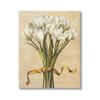 Stupell Industries 'Vintage White Tulips'| Canvas Art view 1