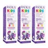 Radius Kids Super Duper Immunity Power Toothpaste 2.5 Oz - Super Duper Bubble Berry Mint - Pack of 3 view 1