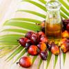 Brazilian Corner Cepera Azeite de Dende 100ml | Palm Oil 3.38 fl oz Vegan Gluten Free by Brazilian Corner| Imported from Brazil view 2