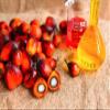 Brazilian Corner Cepera Azeite de Dende 100ml | Palm Oil 3.38 fl oz Vegan Gluten Free by Brazilian Corner| Imported from Brazil view 4