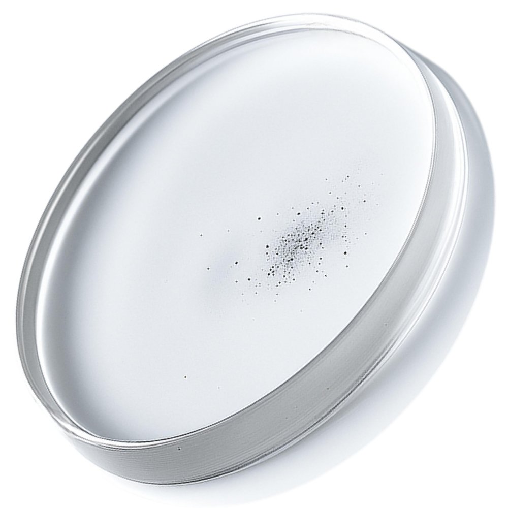 Lohanu Energy Bal-Enhancer - Wearable Wellness Pendant for Relaxation & Mind-Body Balance  Non-Drug, Reusable with Tape