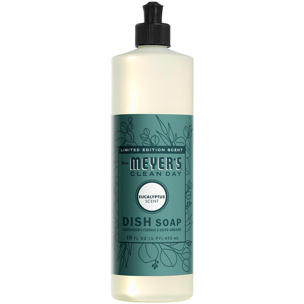DISH SOAP ECALYPTUS 16OZ