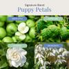 Air Esscentials Puppy Petals Aroma Oil - Pet-Preferred Pure Essential Oil for Scent Machines & Cold-Air Diffusers | Crisp Apple & Zesty Lime | Floral Light & Airy Musk | Safe for Pets | 300mL view 3