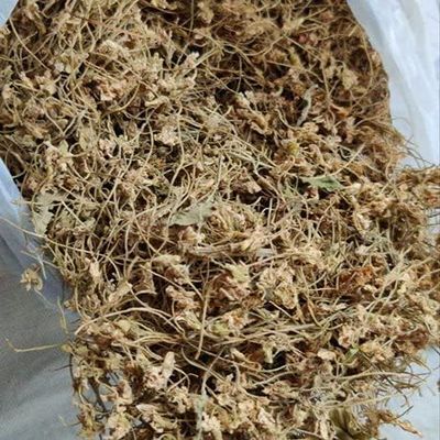 AYURVEM HERBS Indian Jadibooti Gul Banafsha Sweet Violet Banaksa Banaksha 100 Gram