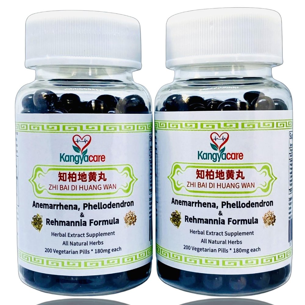 Zhi Bai Di Huang Wan - Anemarrhena, Phellodendron & Rehmannia Formula - Nourish Yin, Lower Pathogenic Fire, Reduce Excessive Heat - All Natural Herbs - 400 Ct (2 Bottle)
