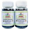 Zhi Bai Di Huang Wan - Anemarrhena, Phellodendron & Rehmannia Formula - Nourish Yin, Lower Pathogenic Fire, Reduce Excessive Heat - All Natural Herbs - 400 Ct (2 Bottle) view 1