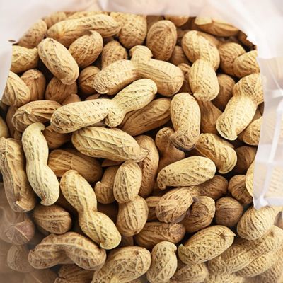 C.J. Dannemiller Peanuts in the Shell, Bulk 25 LB Box, Fancy Size, Roasted, Salted