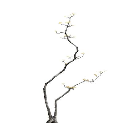 Bonsai Tree 03 Poster Print - Amini54 (24 x 36)