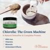 Live Conscious Beyond Greens & Collagen Peptides Peach Mango| Mushroom Coffee Alternative Low Caffeine + Hair, Skin, Nail, and Joint Support view 4