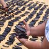 8 oz Guatemalan Vanilla Beans Whole Grade A Vanilla Pods for Homemade Vanilla Extract, Baking, Ice Cream, Flavoring, & Vanilla Powder view 3