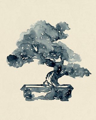 Indigo Bonsai II Poster Print - Jacob Green (18 x 24)