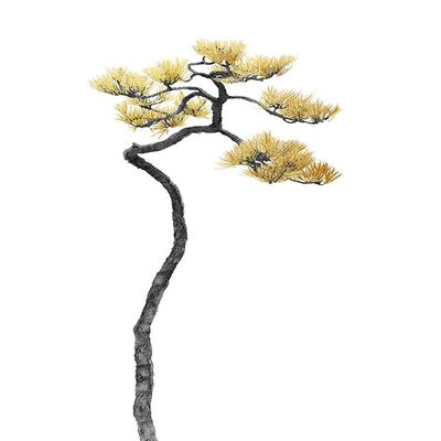 Bonsai Tree 05 Poster Print - Amini54 (16 x 24)