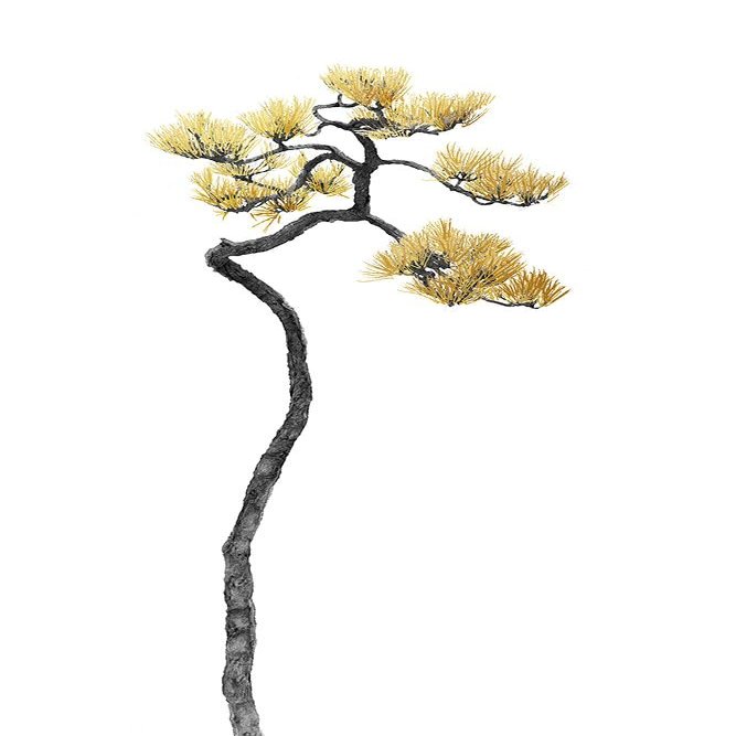 Bonsai Tree 05 Poster Print - Amini54 (16 x 24)