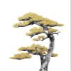 Bonsai Tree 04 Poster Print - Amini54 (16 x 24) view 1