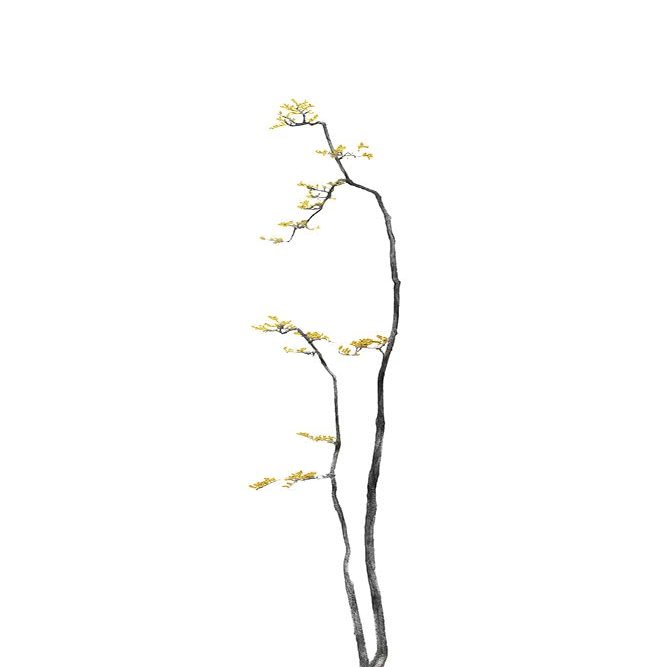 Bonsai Tree 01 Poster Print - Amini54 (16 x 24)